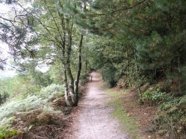 Approaching Pitch Hill